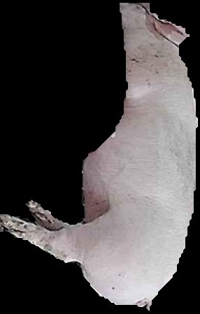 Crop
