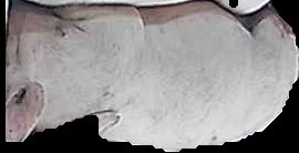 Crop