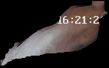 Crop