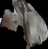 Crop