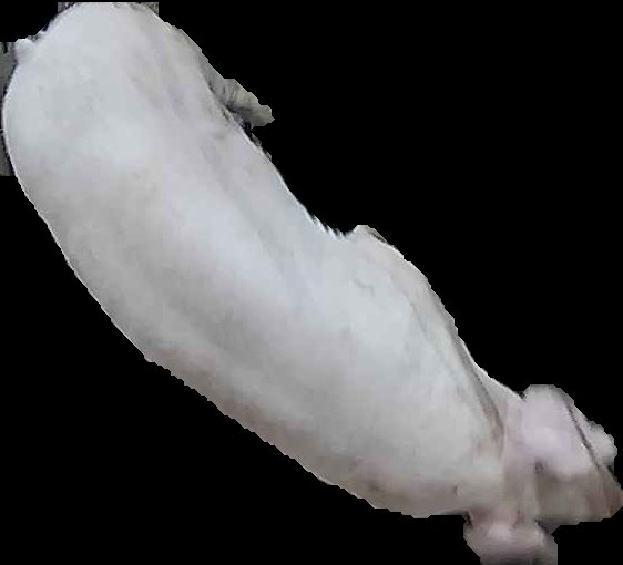 Crop