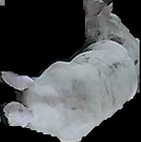 Crop