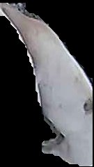 Crop