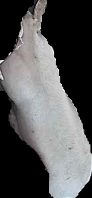 Crop