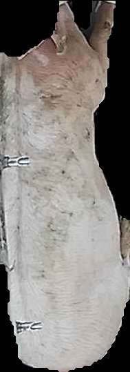 Crop