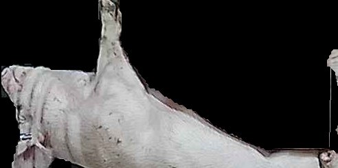Crop
