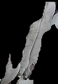 Crop