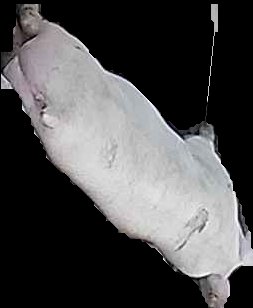 Crop