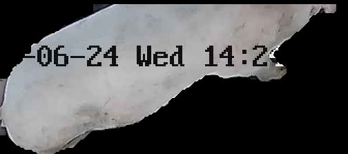 Crop