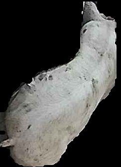 Crop