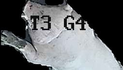 Crop