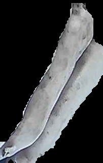 Crop