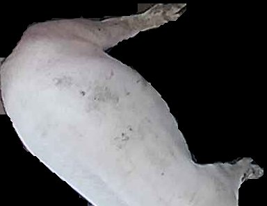 Crop
