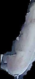 Crop