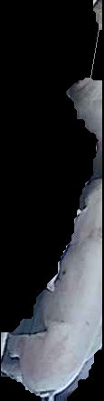 Crop