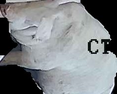 Crop