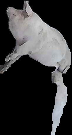 Crop