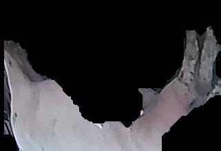 Crop