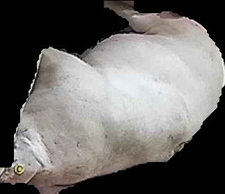 Crop