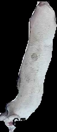 Crop