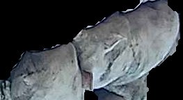 Crop