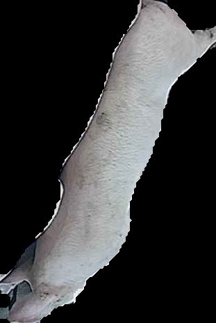 Crop