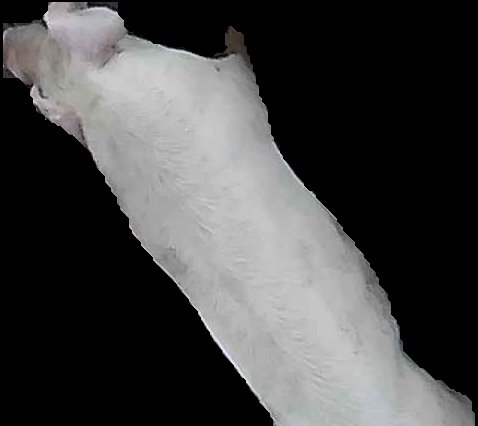 Crop