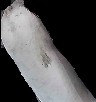 Crop