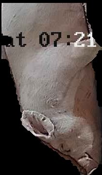 Crop