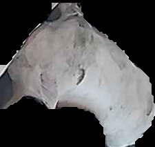 Crop