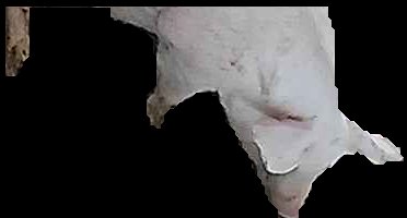 Crop