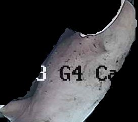Crop