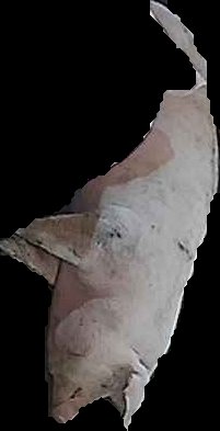 Crop
