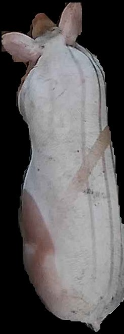 Crop
