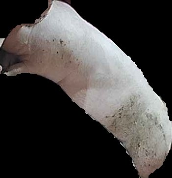 Crop