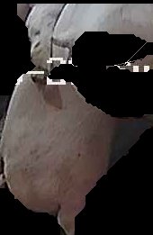 Crop