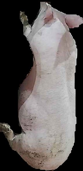 Crop