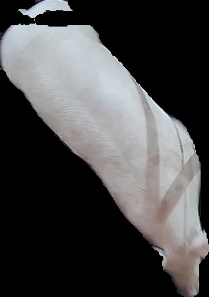 Crop