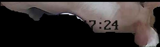 Crop