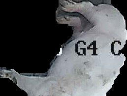 Crop