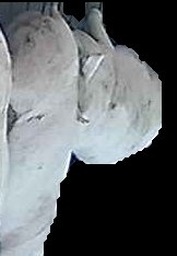 Crop