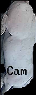 Crop
