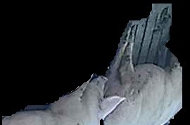 Crop