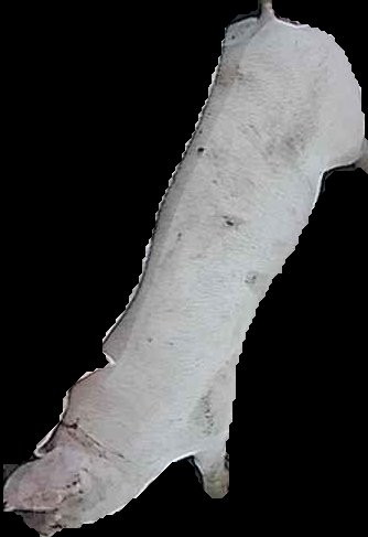 Crop
