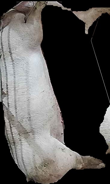 Crop