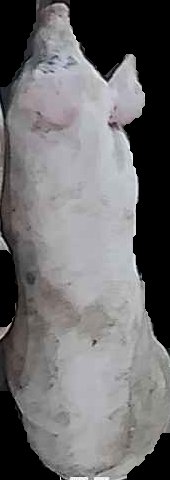 Crop