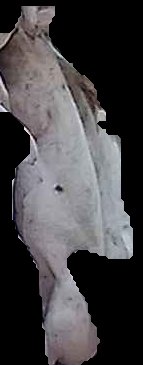 Crop