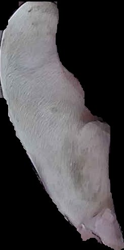 Crop