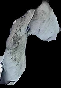 Crop