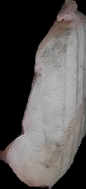 Crop
